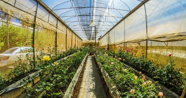 Best Grow Room Mini Splits