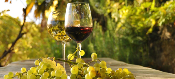 Wine Cellar Temperature and Humidity Control