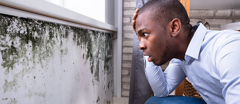 High Indoor Humidity, Household Leaks, and Hidden Water Damage