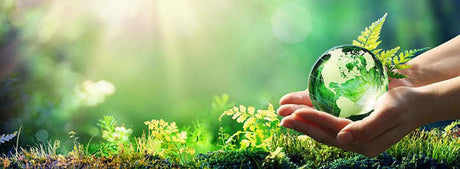 What Makes a Dehumidifier Eco-Friendly?