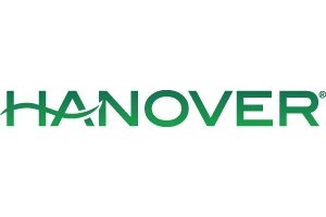 Hanover Patio Heaters