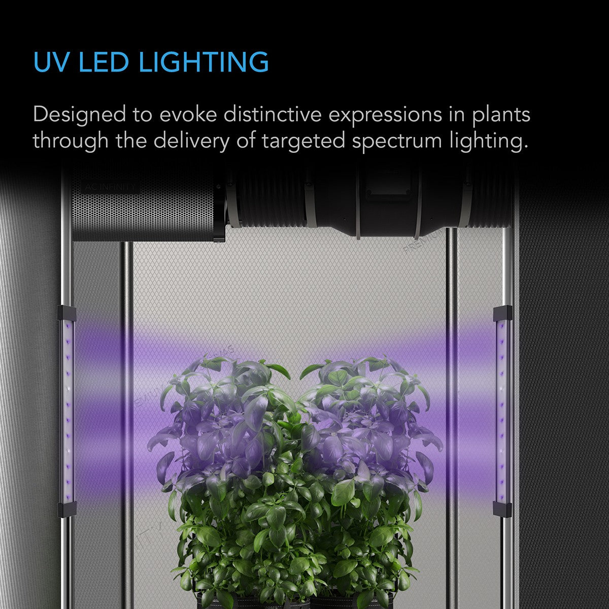 AC Infinity IONBEAM Targeted Spectrum UV LED Grow Light - UV LED Lighting
