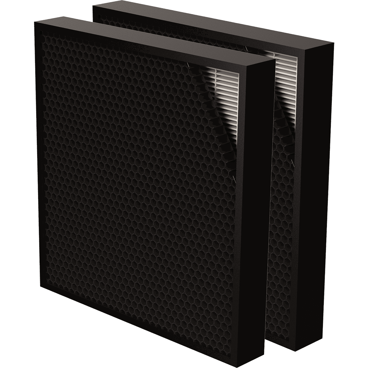 AeraMax PRO Hybrid 2-inch Filter - 2-Pack