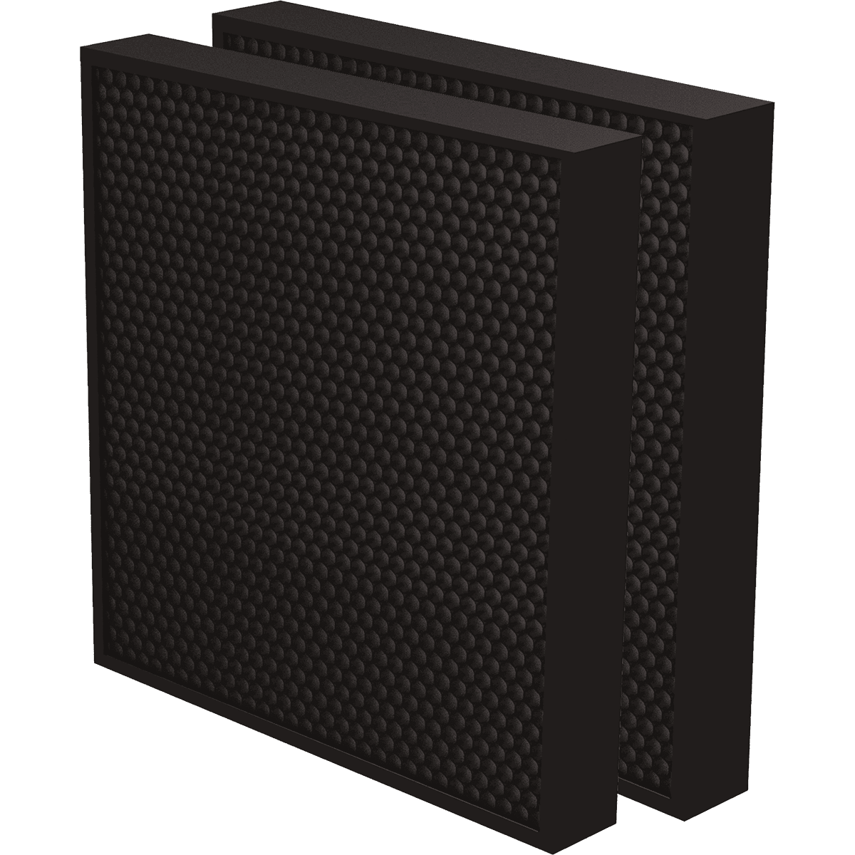 AeraMax PRO 2-inch Carbon Filter - 2-Pack