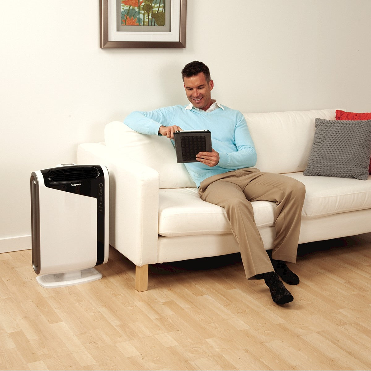 AeraMax DX95 Air Purifier - in Living Room