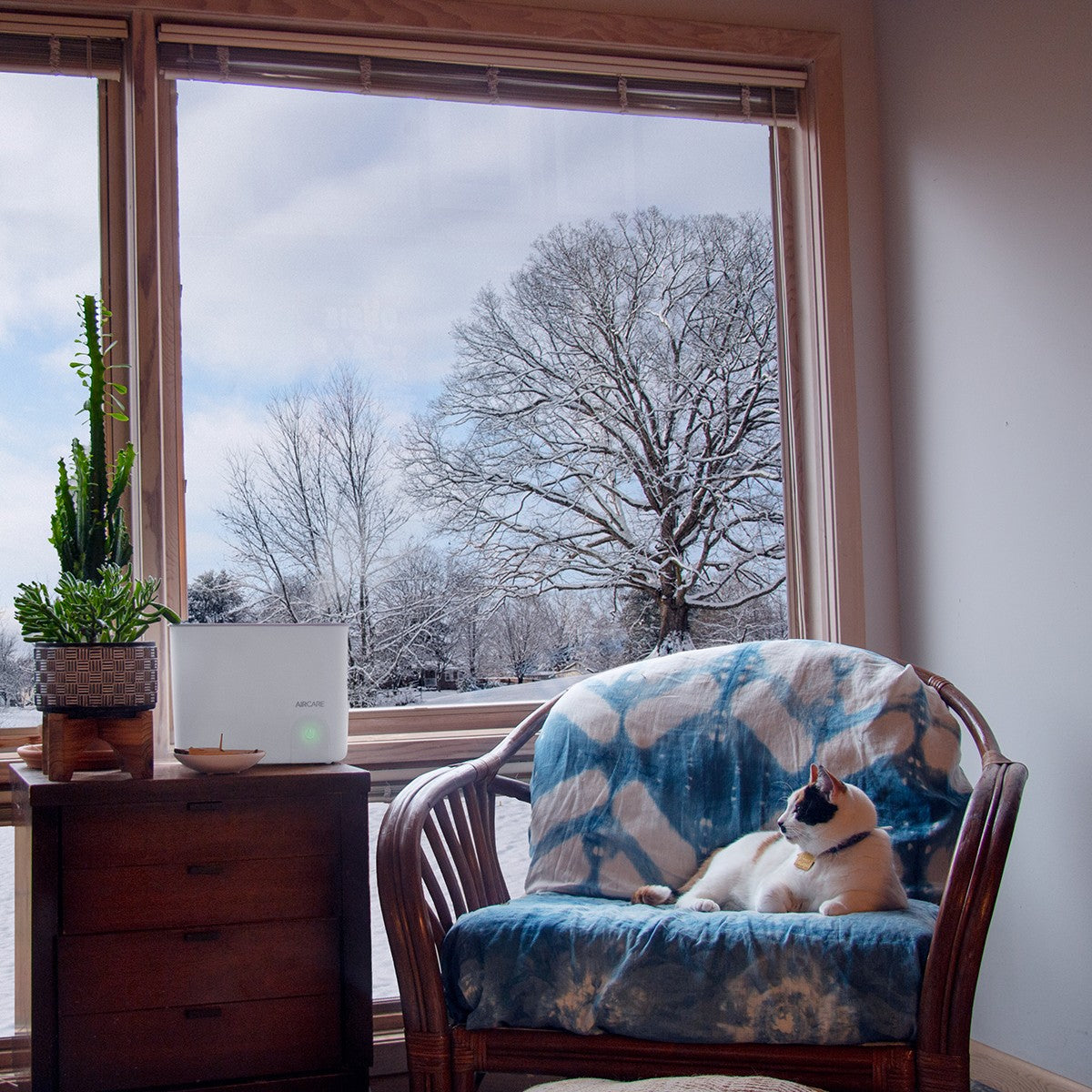 AIRCARE Aria Whisper Quiet Steam Humidifier