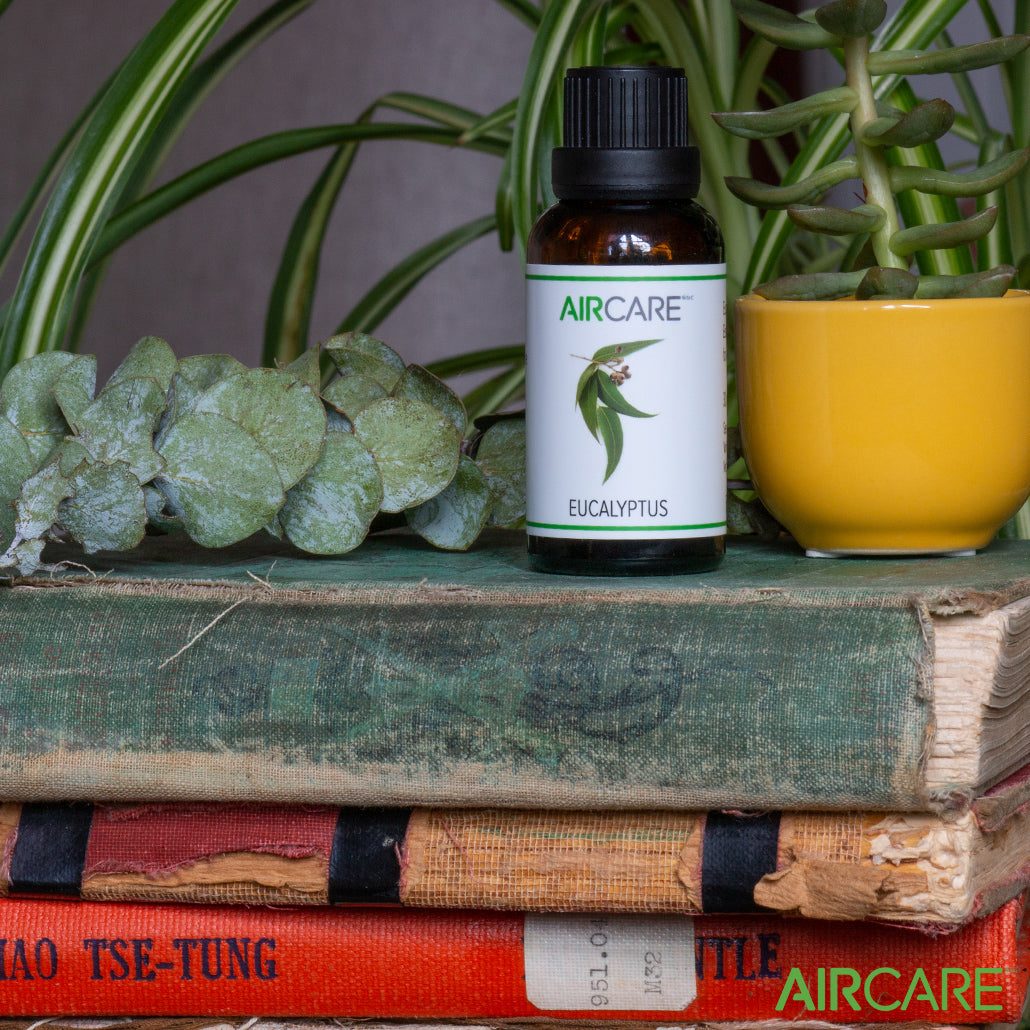 AIRCARE Aromatherapy Essential Oils