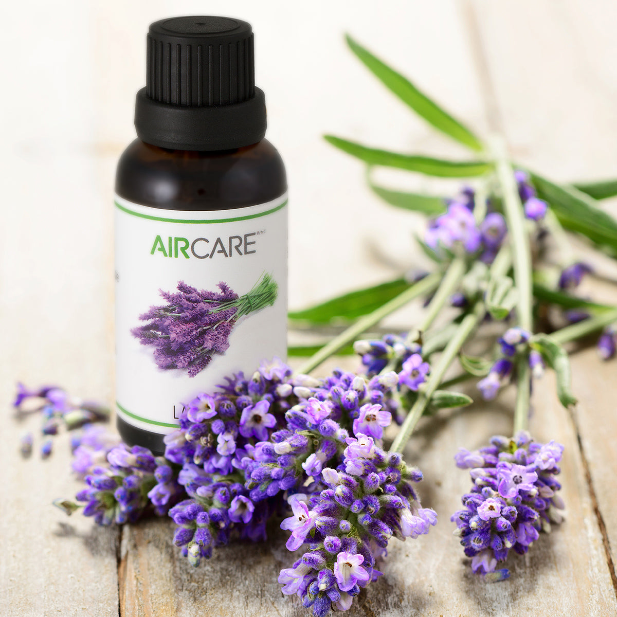 AIRCARE Aromatherapy Essential Oils