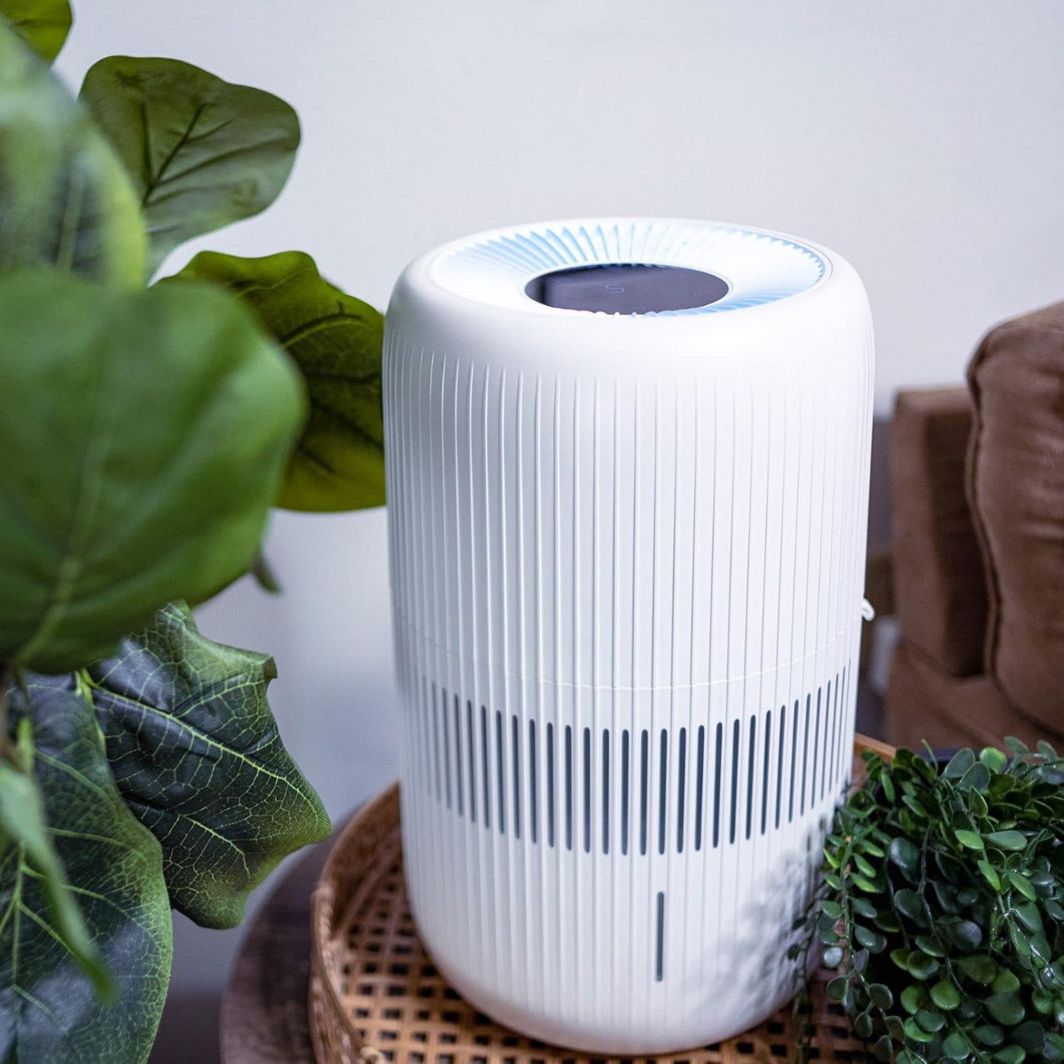 AIRCARE Lanai 1 Gal. Evaporative Humidifier - Lifestyle 1