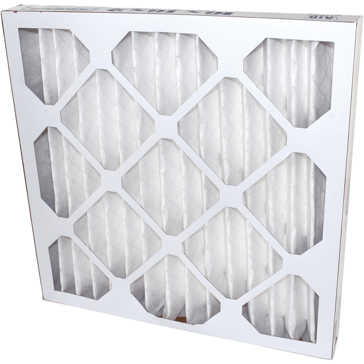 Airganics Replacement Filter - Main