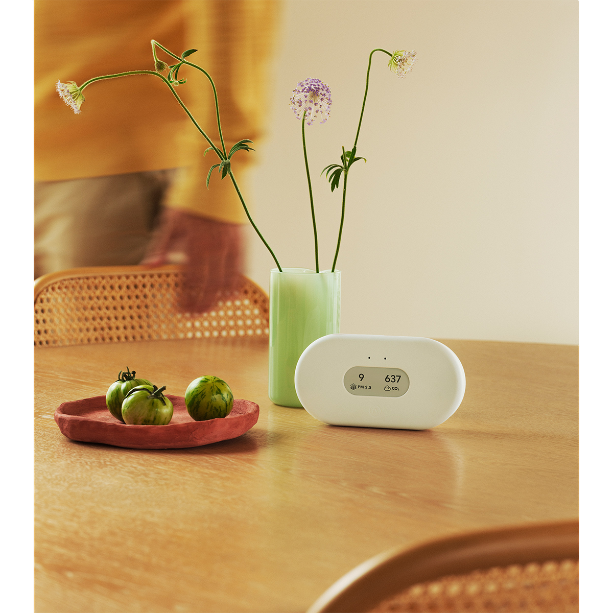 Airthings View Plus Radon & Air Quality Monitor - Lifestyle 5