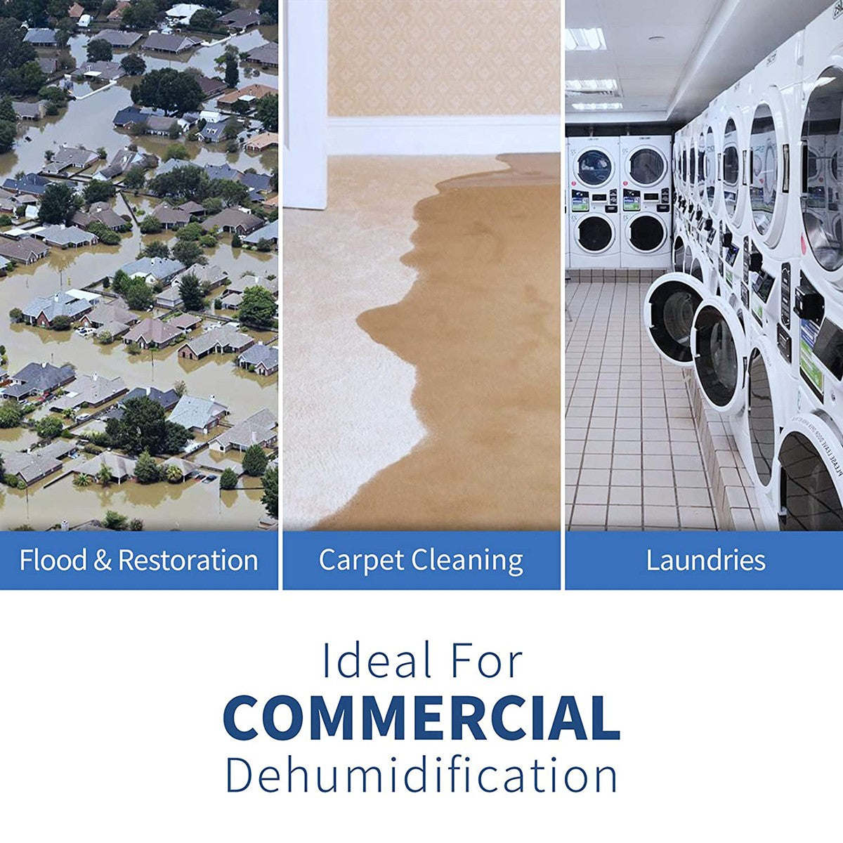 AlorAir Sentinel 53 Pint Crawl Space & Basement Dehumidifier - Infographic