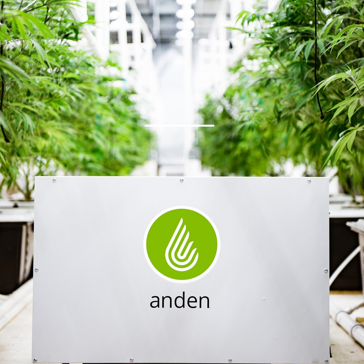 Anden A210V1 210 Pint High-Capacity Dehumidifier - Lifestyle 2