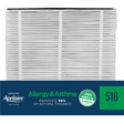 Aprilaire 516 MERV 16 Allergy & Asthma Replacement Filter (31x28)