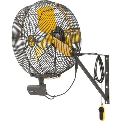 Big Ass Fans AirEye Wallmount Fan w/ AEOS Occupancy Sensor - 20 inches Main