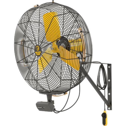 Big Ass Fans AirEye Wallmount Fan w/ AEOS Occupancy Sensor - 24 Inches Main