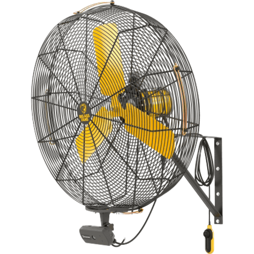 Big Ass Fans AirEye Wallmount Fan w/ AEOS Occupancy Sensor - 30 Inches Main