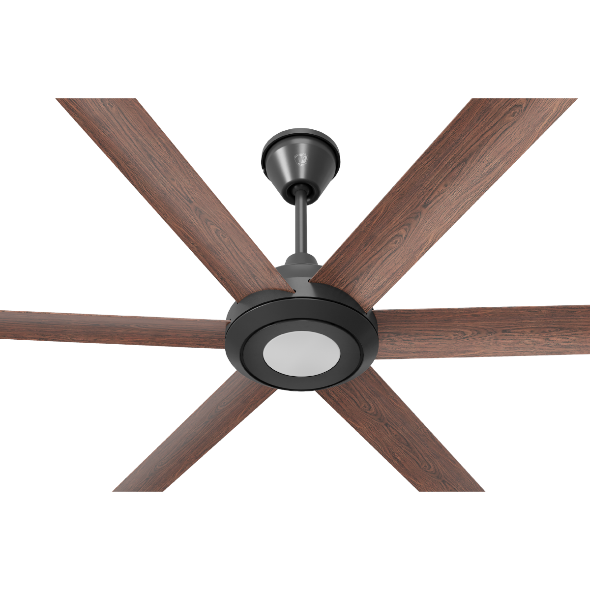 Big Ass Fans Bison Smart Walnut Blades Universal Mount Ceiling Fan Close-up - Black w/ LED Lights