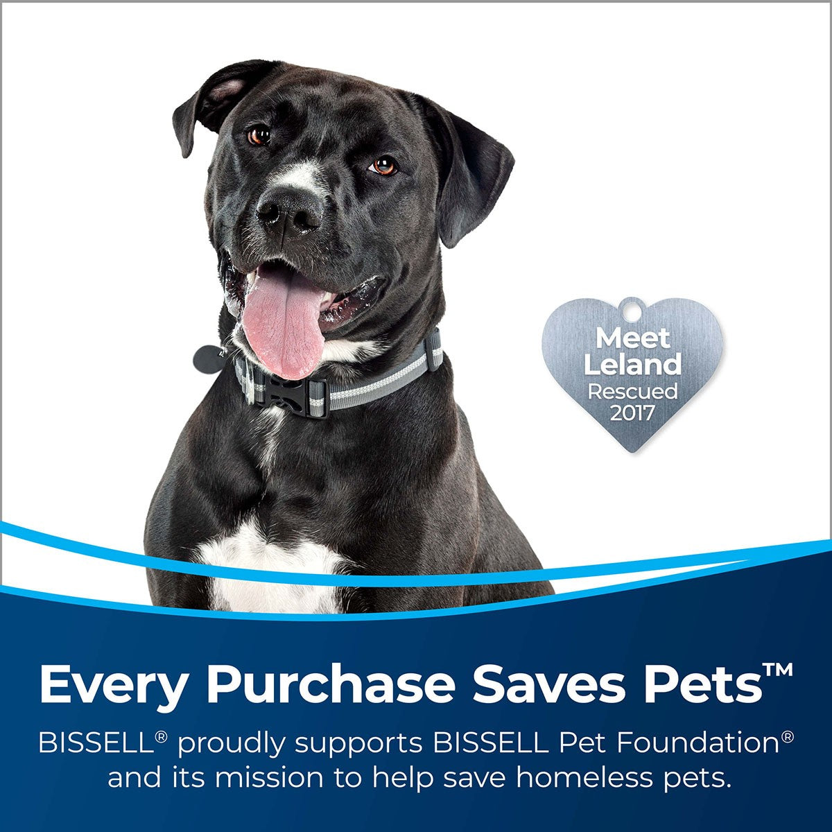 Bissell 2852 MultiClean Allergen Lift-Off Pet Vacuum - Donation to Pet Rescue