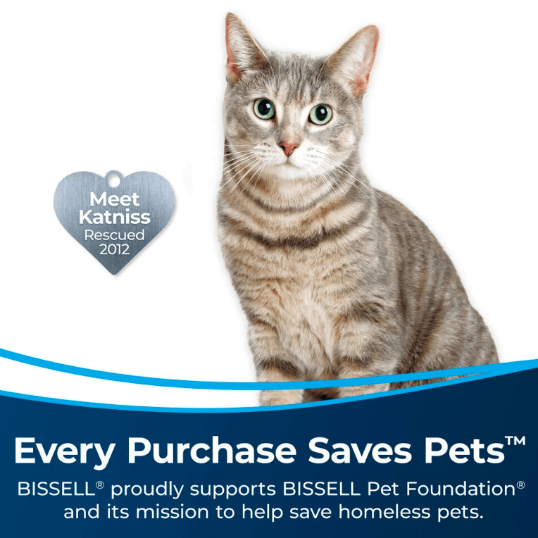 Bissell ReadyClean 10.8V Stick Vacuum w/ Detachable Hand Vacuum - Pet Cat