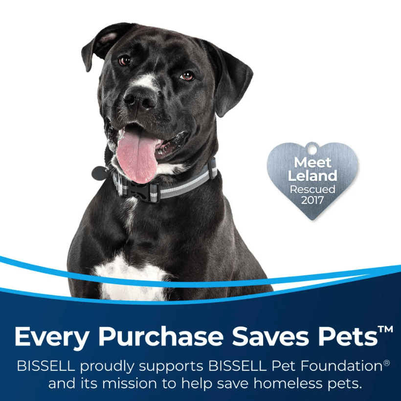 Bissell MultiClean Allergen Pet Rewind Upright Vacuum - Pet Rescue