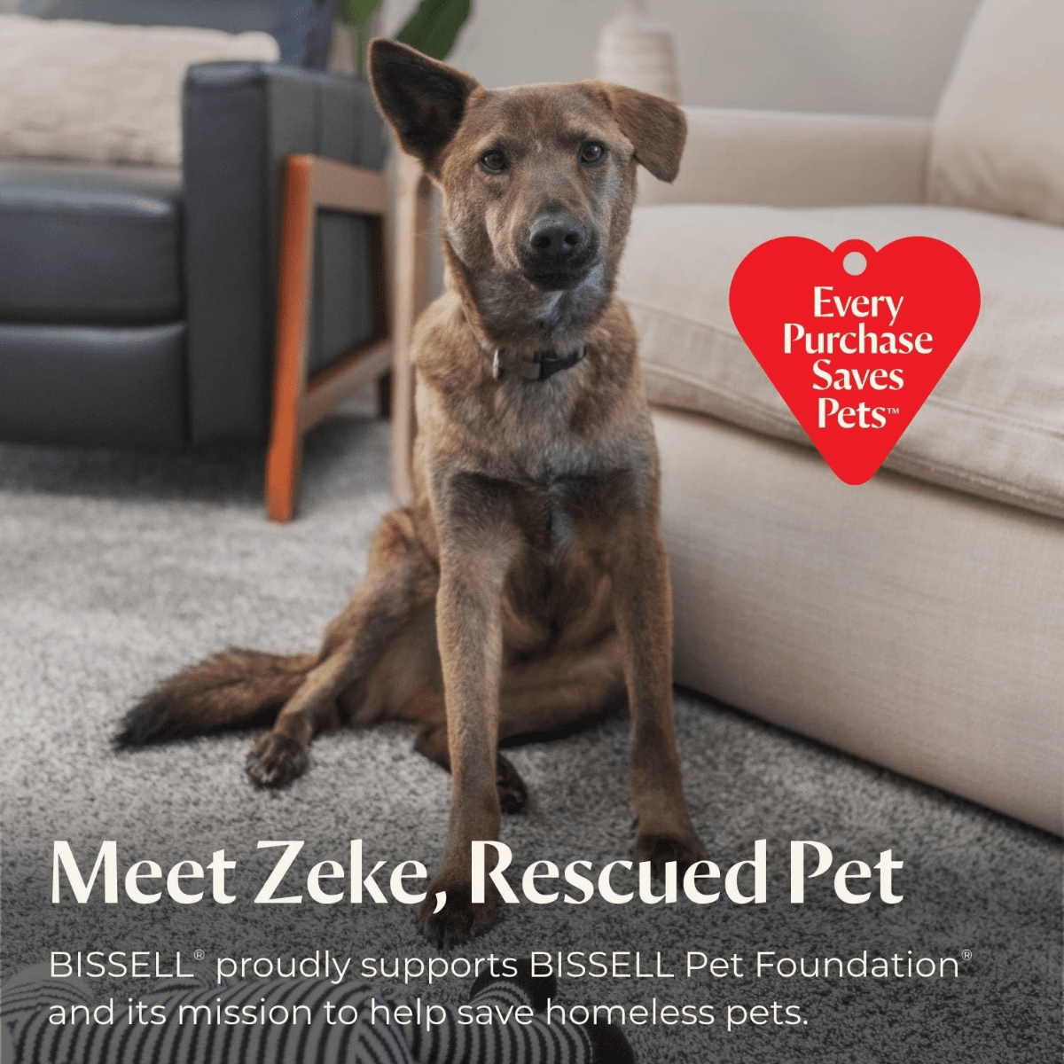 Bissell Revolution HydroSteam Pet Carpet Cleaner - Infographic 6