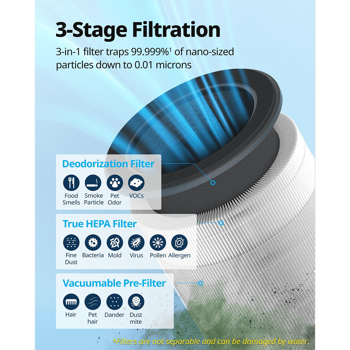 Coway Airmega 100 HEPA Air Purifier - Infographic 4