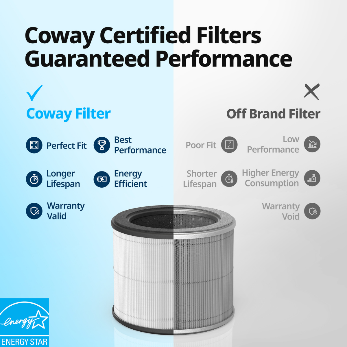 Coway Airmega 100 True HEPA Replacement Filter - Infographic 1