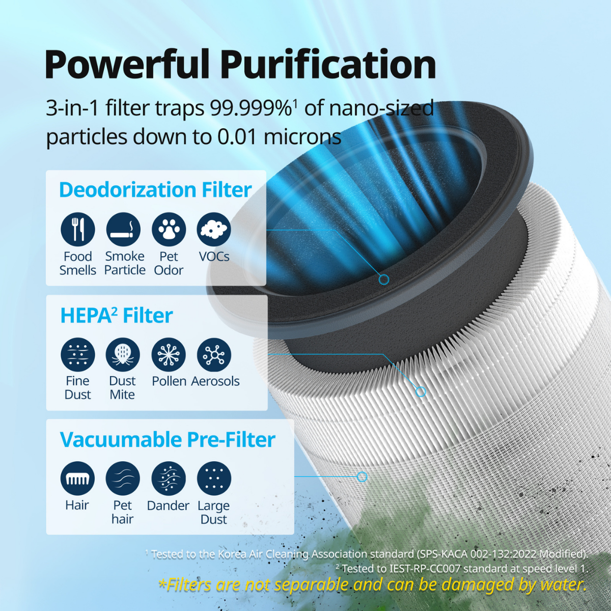 Coway Airmega 100 True HEPA Replacement Filter - Infographic 2