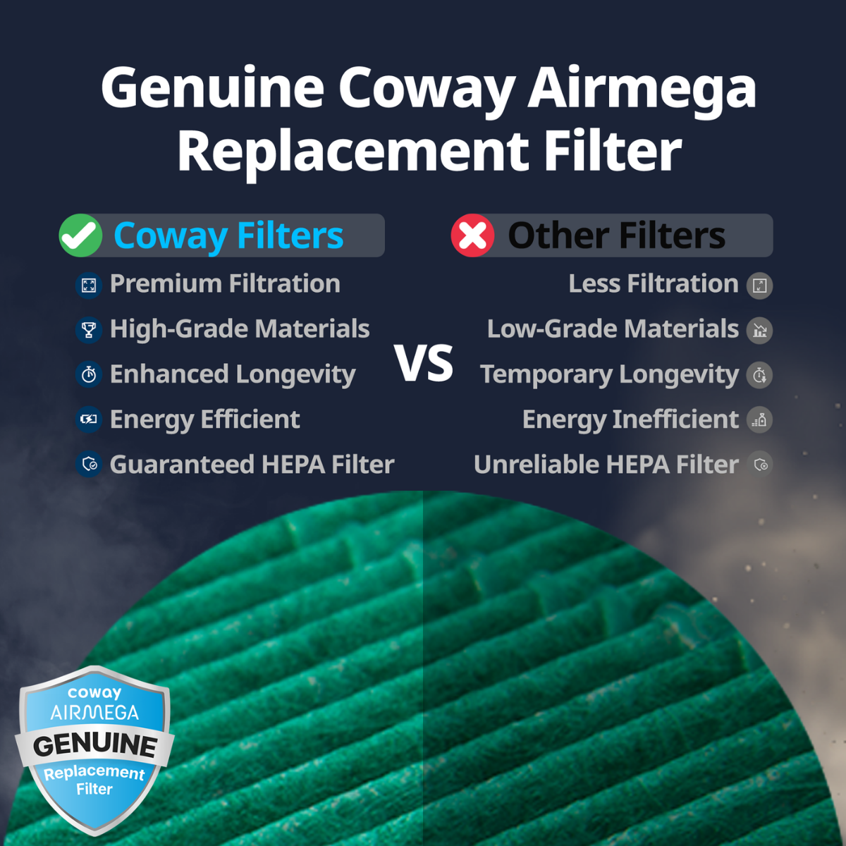 Coway Airmega 150 & 160 HEPA Filter Set - Infographic 2
