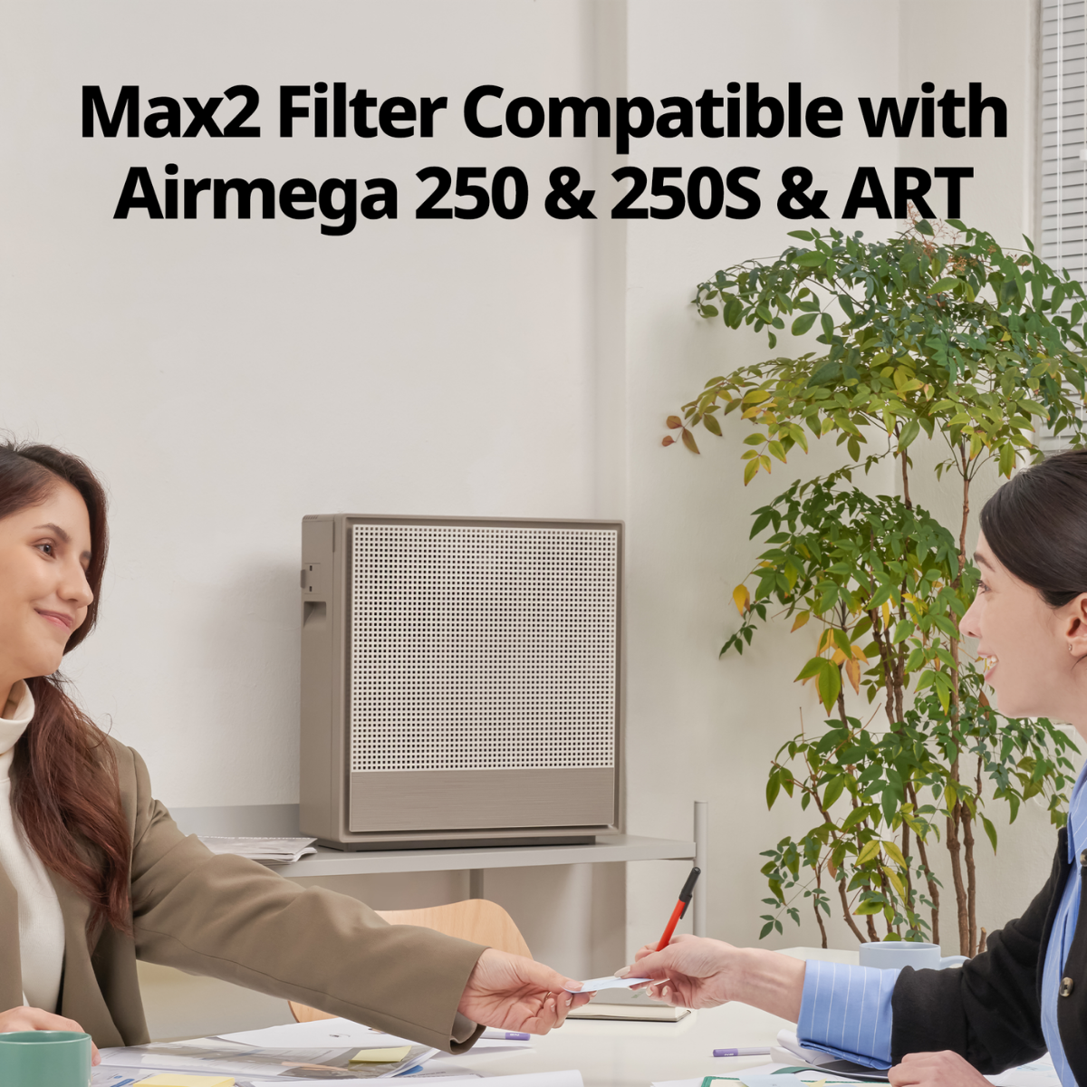 Coway Airmega 250 Max2 Filter Set - Infographic 5