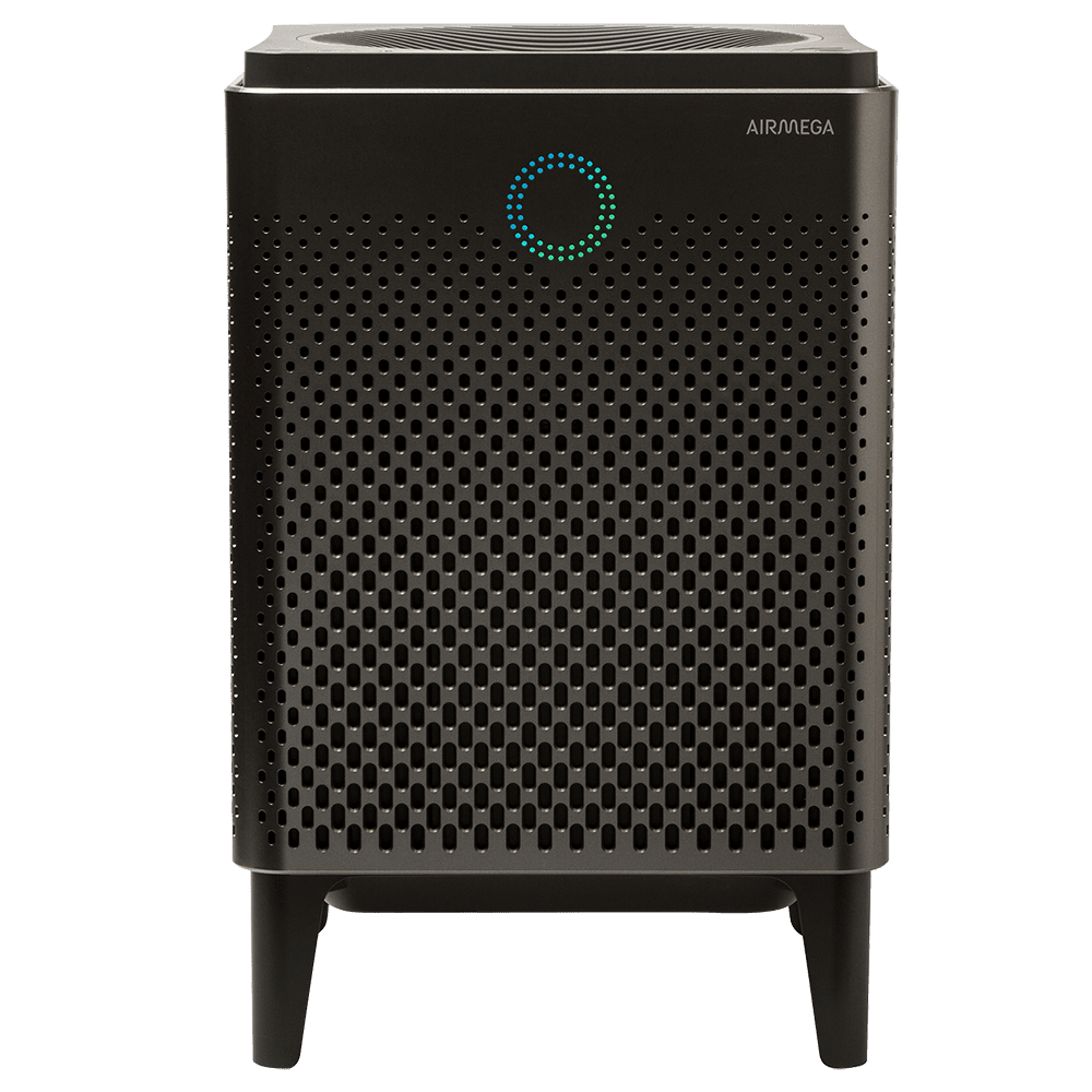 Airmega 400 Air Purifier - Graphite