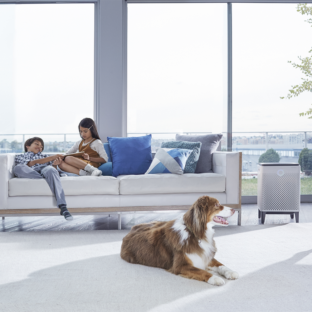 Airmega 400 HEPA Air Purifier by Coway - in use
