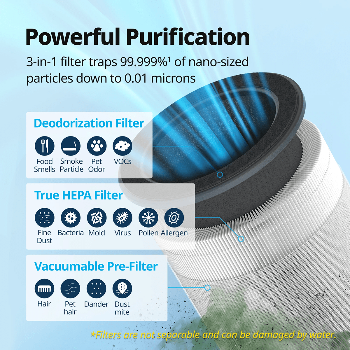 Coway Airmega 100 True HEPA Replacement Filter - Infographic 2