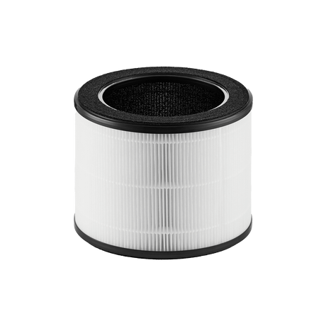 Coway Airmega 100 True HEPA Replacement Filter - Main