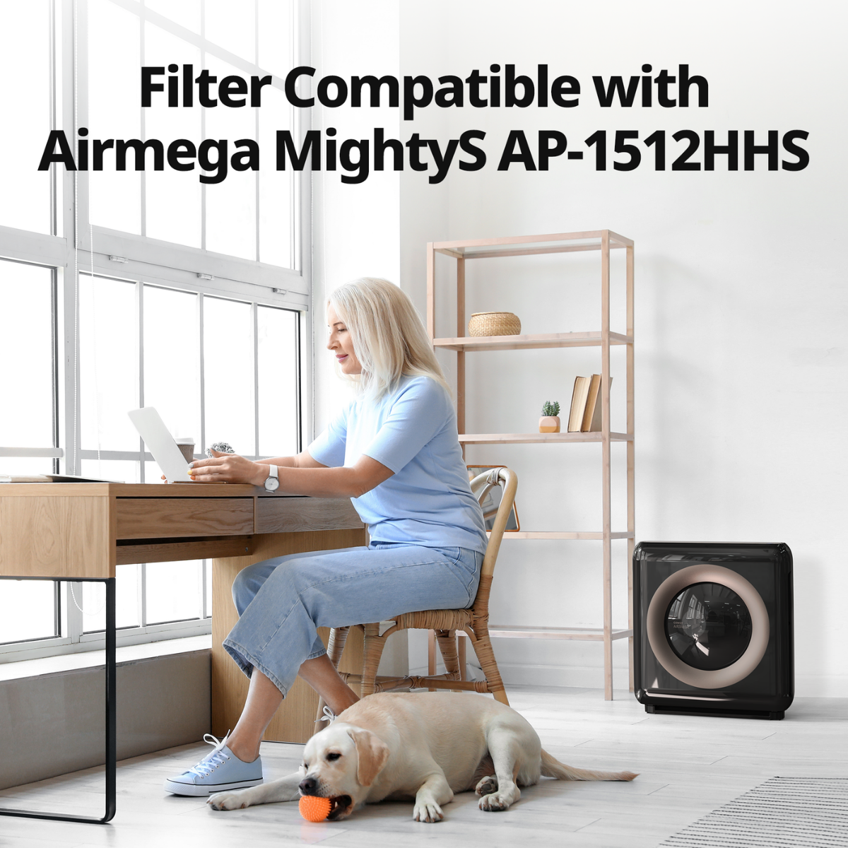 Coway Mighty (AP-1512HH) Air Purifier Replacement Filter Pack - Infographic 2