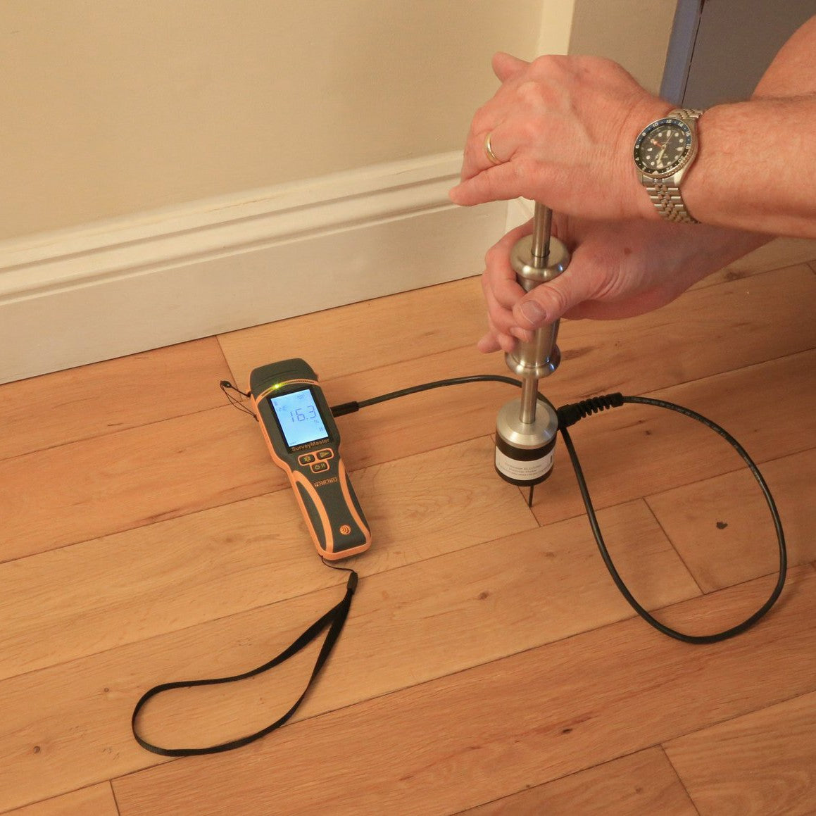 Protimeter SurveyMaster Moisture Meter (BLD5375) - Hammer Probe