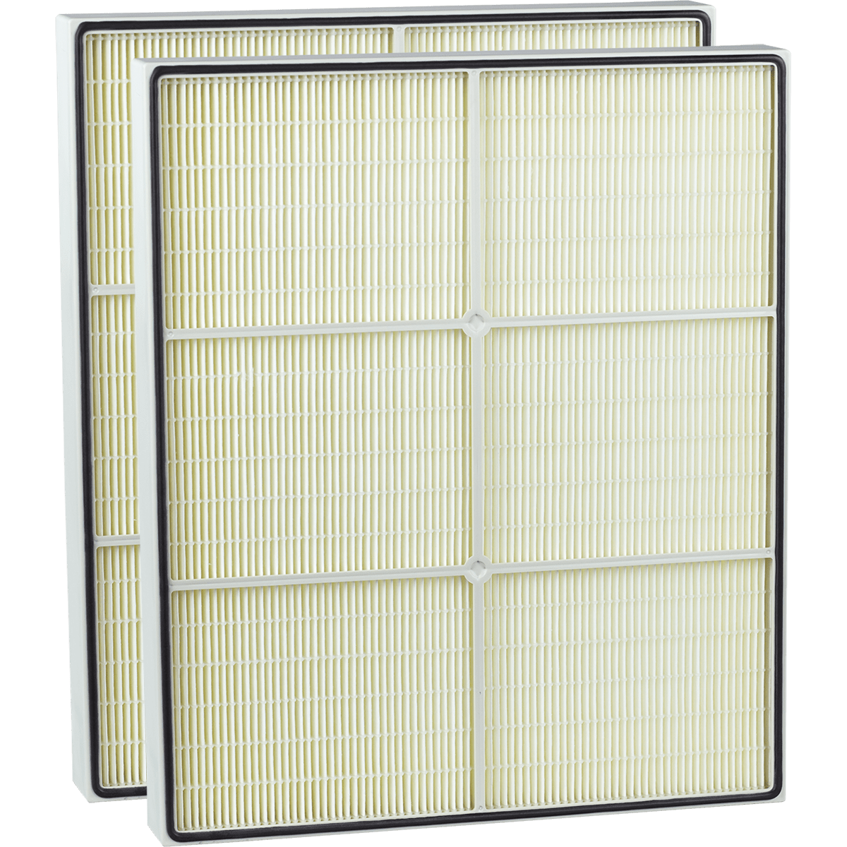 Dri-Eaz HEPA 500 Replacement HEPA Filter - 2 PACK (F321)