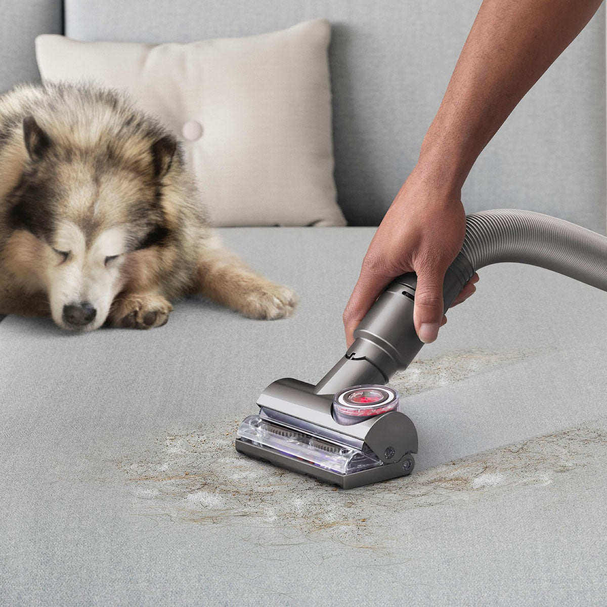 Dyson Ball Animal 3 Upright Vacuum - Pet Attachment