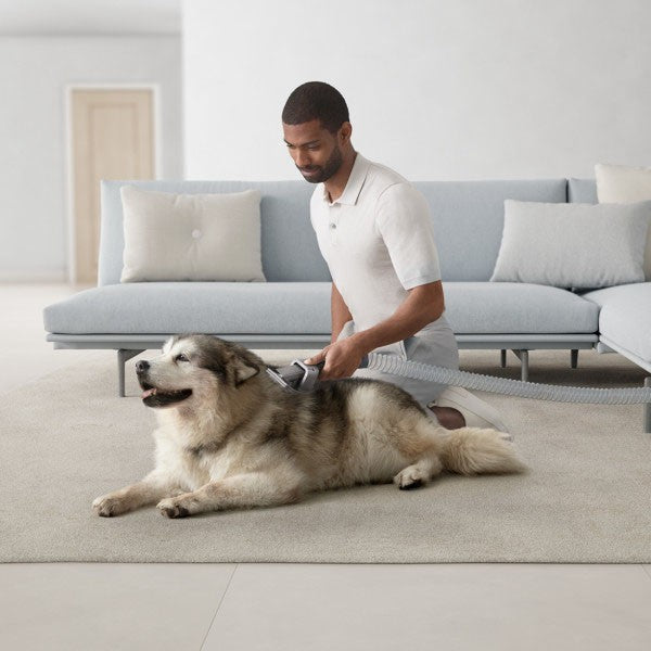 Dyson Ball Animal 3 Upright Vacuum - Pet Tool