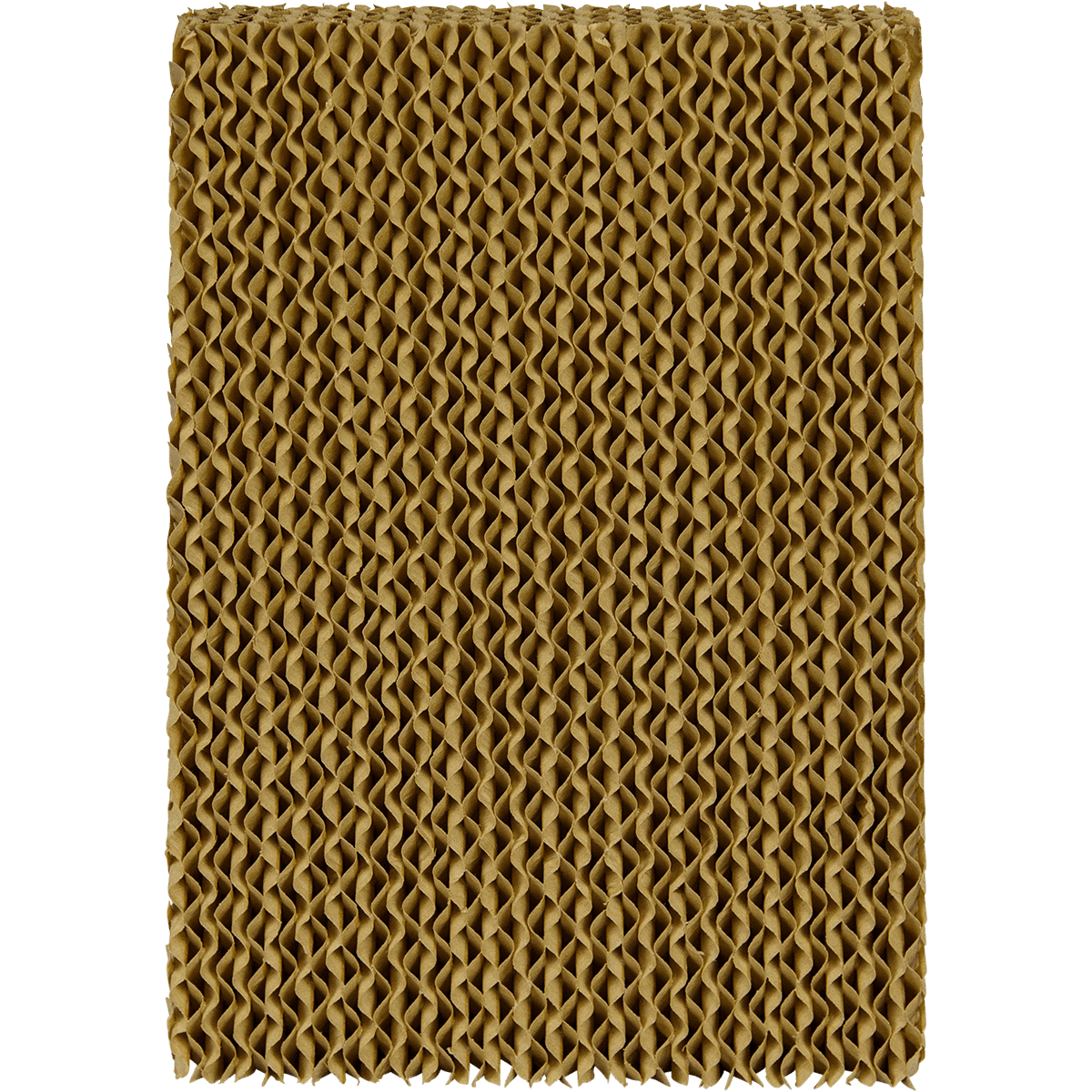 Honeywell Replacement Cooling Pad for CS10PE Evaporative Cooler - Main