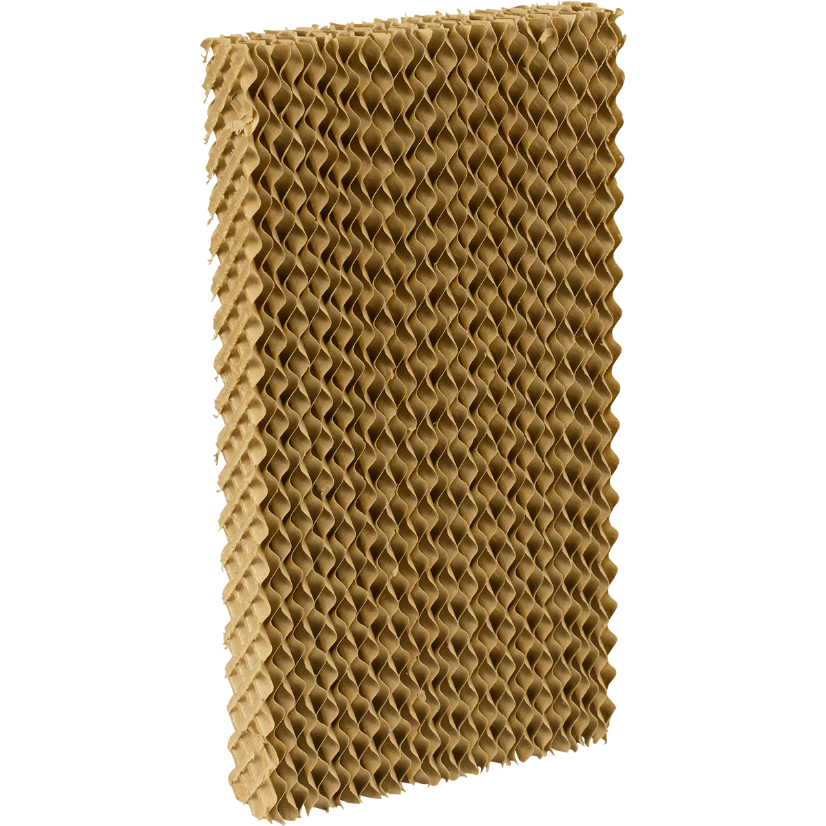 Honeywell CS071AE Replacement Cooling Pad