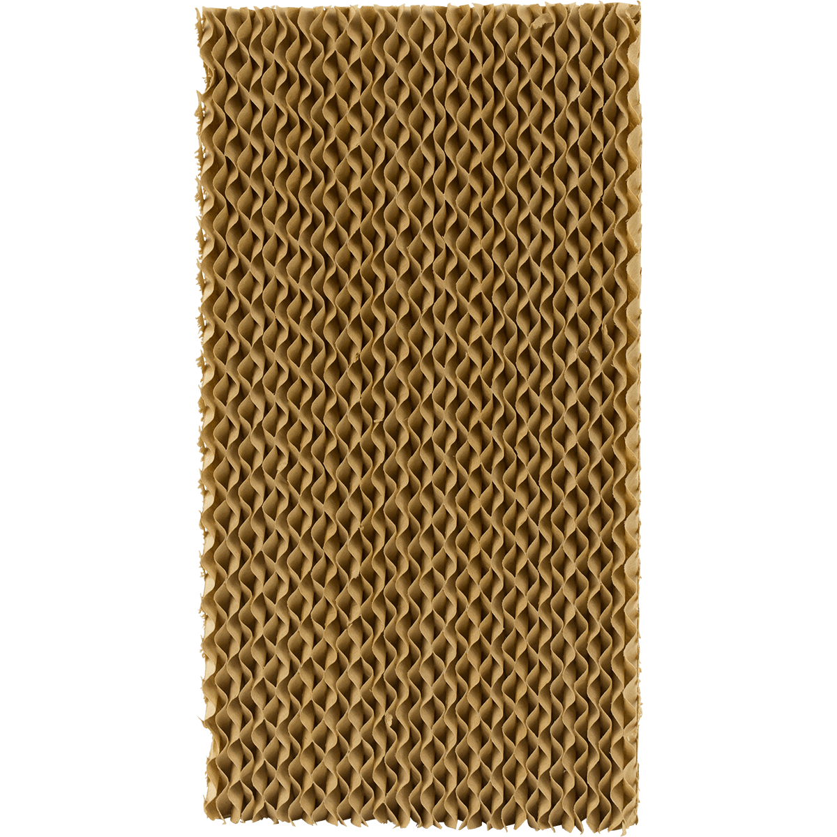 Honeywell CS071AE Replacement Cooling Pad