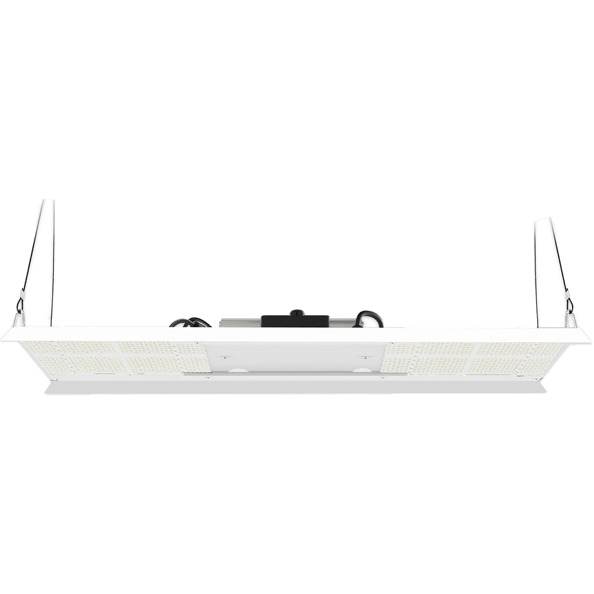 Horticulture Lighting Group 350 Diablo LED Grow Lamp - hanging
