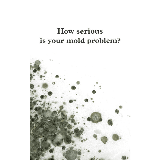 Mold Test Company DIY EPA-36 Mold Contaminants Test Kit - Infographic 1