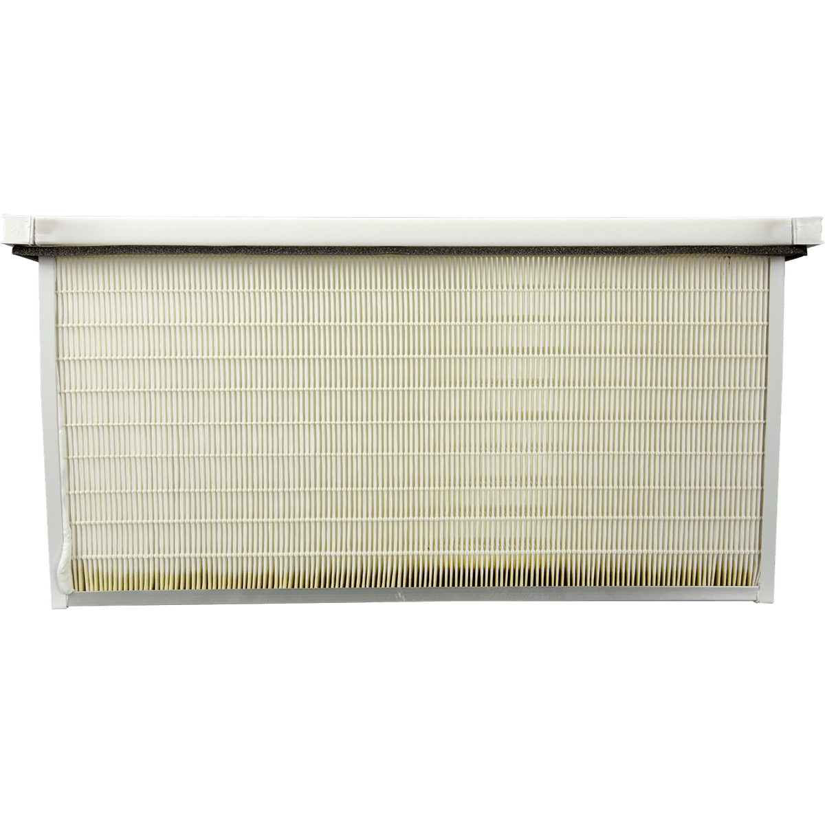 Phoenix HEPA Filter 4023244