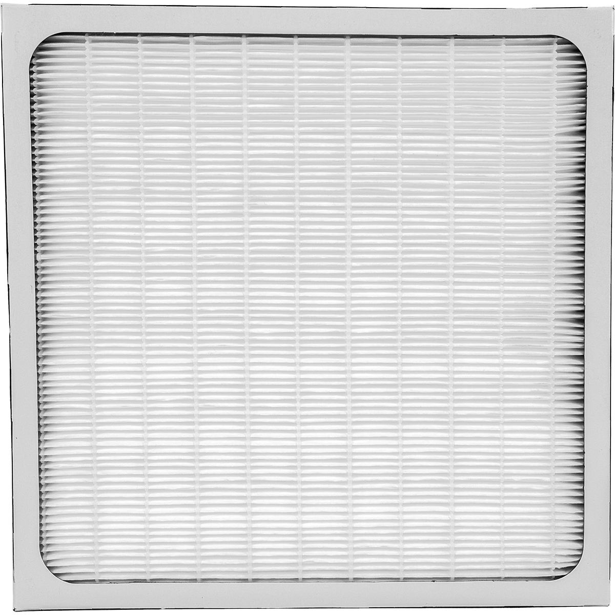 Phoenix MERV 11 Standard Filter (4025568)