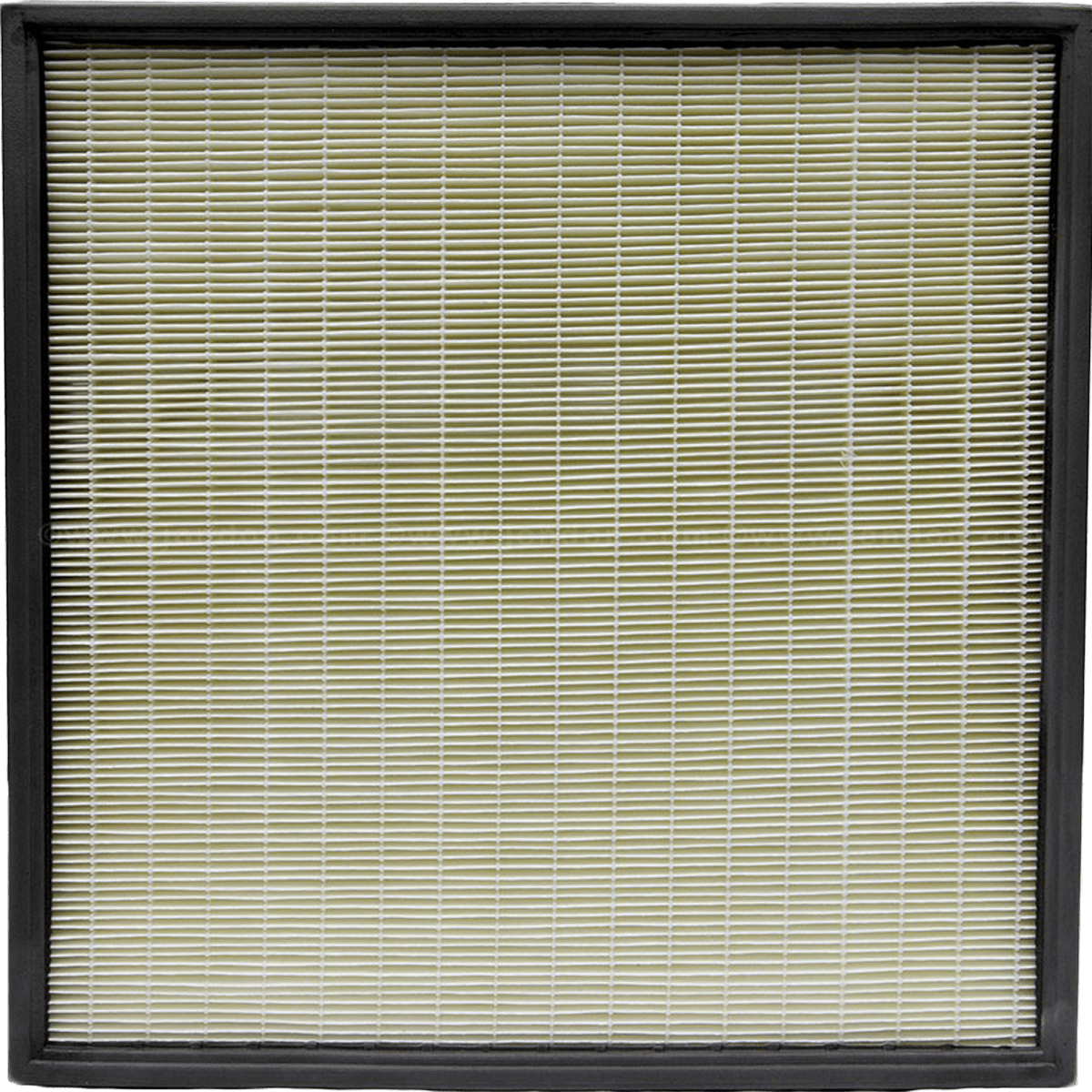 Quest HEPA Air Filter (4031864)
