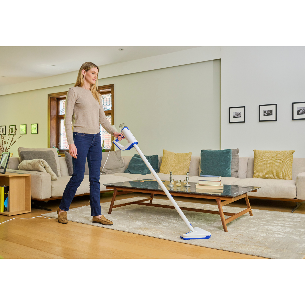 Reliable Steamboy Plus Steam Cleaner - Lifestyle 1