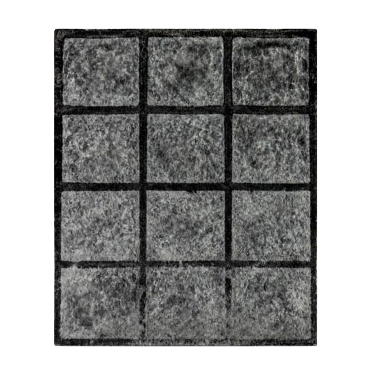 Riccar Genuine HEPA and Granulated Charcoal Filter Set for Clean Air Vacuums - Filter Only